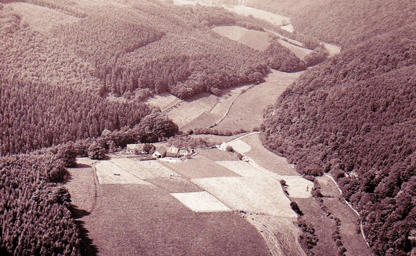 1961 Mäckingerbachtal